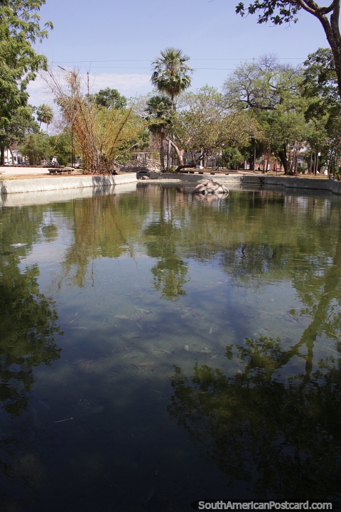 Zona de laguna y entorno verde en el Parque de la Independencia en Corumb. (480x720px). Brasil, Sudamerica.