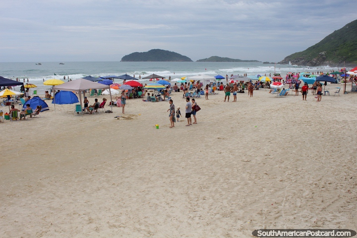 Santinho Beach with rocky surrounding cliffs and surfing in Florianopolis. (720x480px). Brazil, South America.