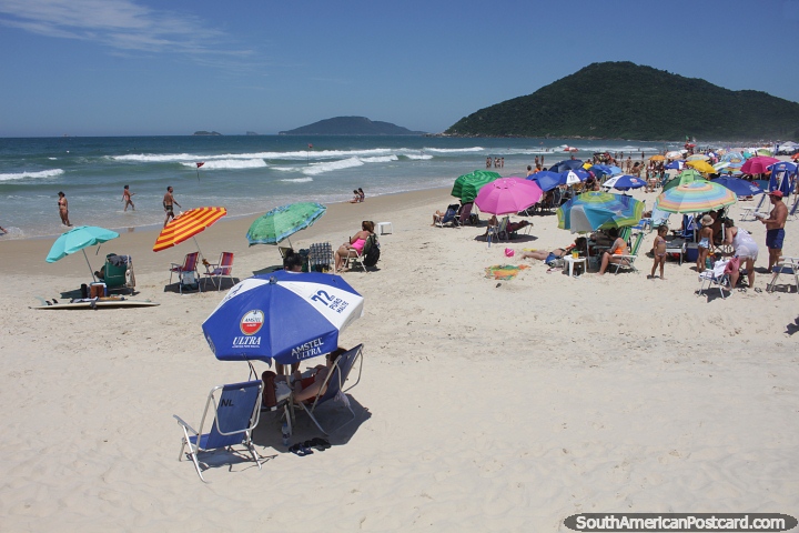 Da caluroso de verano en febrero en la Playa Brava de Florianpolis con muchas sombrillas. (720x480px). Brasil, Sudamerica.