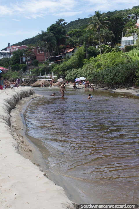 Rio descendo at o mar na Praia da Lagoinha em Florianpolis. (480x720px). Brasil, Amrica do Sul.