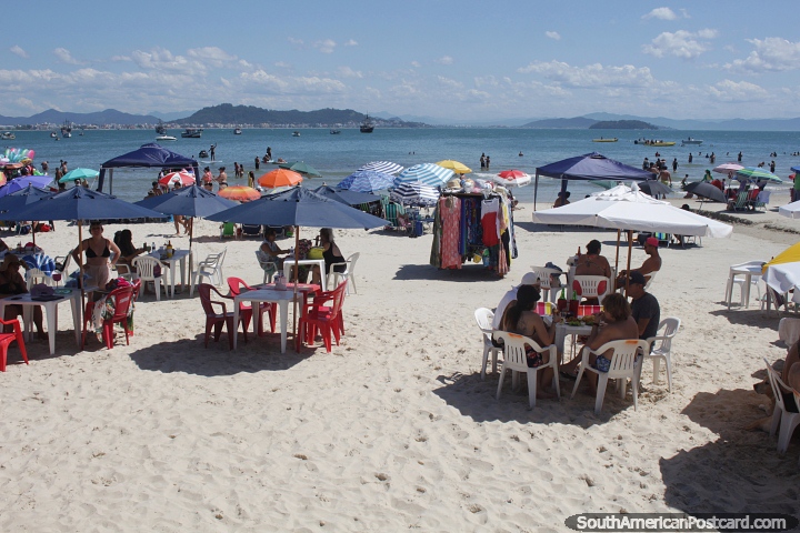 Nice summers day with various water activities at Ponta das Canas Beach in Florianopolis. (720x480px). Brazil, South America.