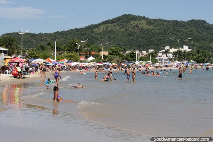 Playa popular en Florianpolis - Ponta das Canas. (720x480px). Brasil, Sudamerica.