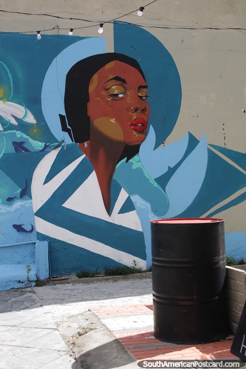 Chica de azul, arte callejero en Porto Alegre. (480x720px). Brasil, Sudamerica.