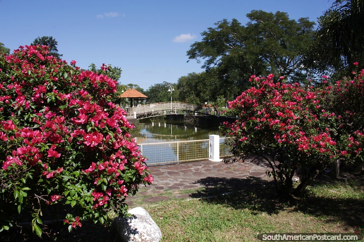 Laguna y puente en la Plaza de los Patitos en Alegrete. (720x480px). Brasil, Sudamerica.