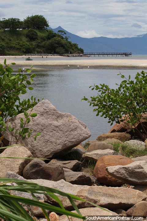 Lindo litoral com pedras e rvores em Caraguatatuba. (480x720px). Brasil, Amrica do Sul.