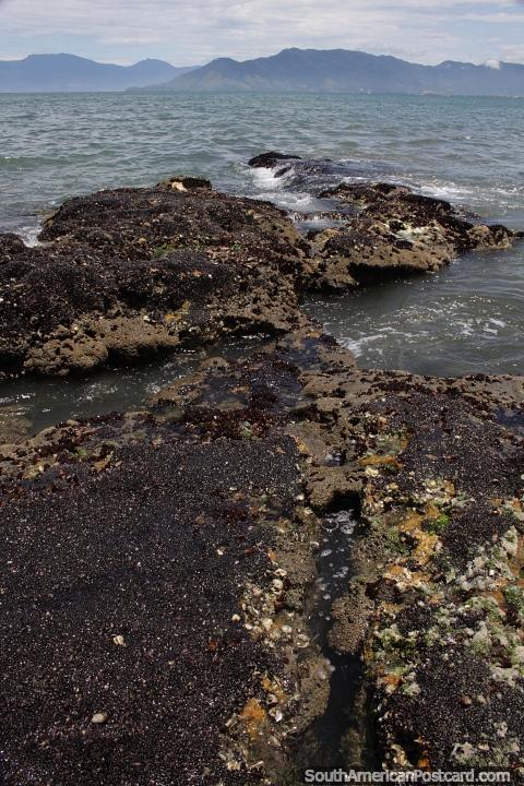 Espoln natural de rocas que desemboca en el mar en Caraguatatuba. (480x720px). Brasil, Sudamerica.