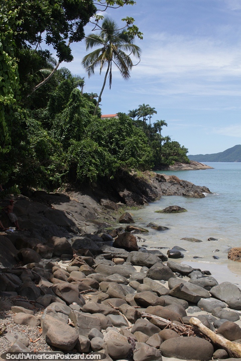 Boulders and palm trees at the edge of Tenorio Beach in Ubatuba. (480x720px). Brazil, South America.