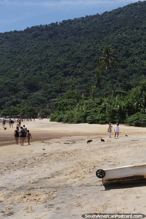 Nice sandy beach and forest covered hills in Abraao, Ilha Grande. (480x720px). Brazil, South America.