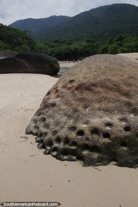 Boulder with holes eroded from the water at Caxadaco Beach on Ilha Grande. (480x720px). Brazil, South America.