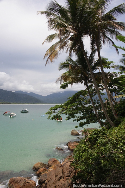 Picturesque bay with rocks, palms and turquoise waters on Ilha Grande. (480x720px). Brazil, South America.