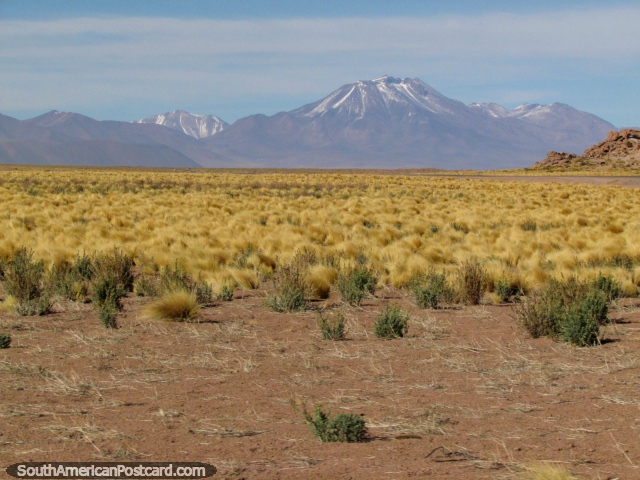 As montanhas cobertas de neve chegam a vista quando viajamos no deserto de San Pedro de Atacama. (640x480px). Chile, América do Sul.