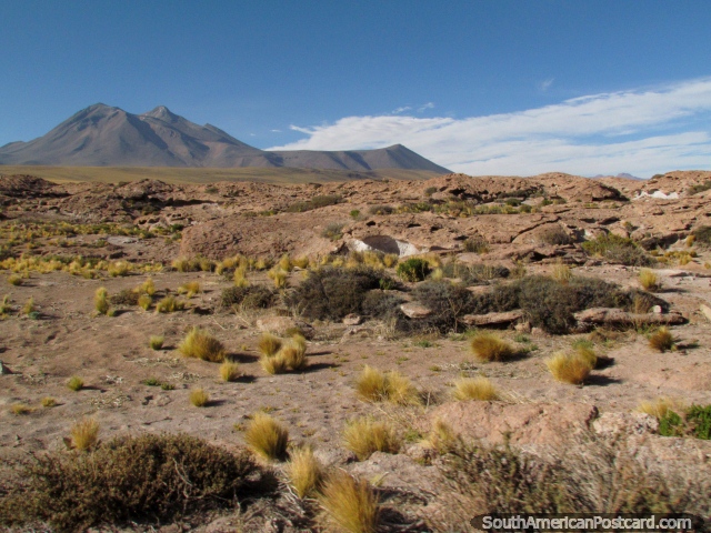 Um terreno colorido de rocha e arbustos no deserto de San Pedro de Atacama. (640x480px). Chile, América do Sul.