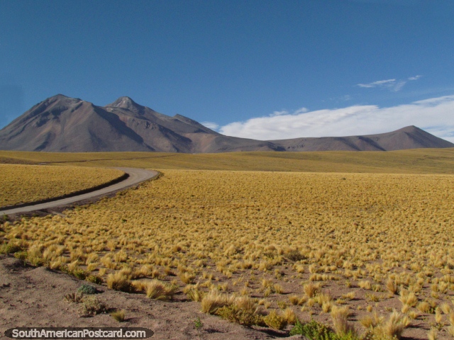 The road cuts and curves its way through the desert at San Pedro de Atacama. (640x480px). Chile, South America.