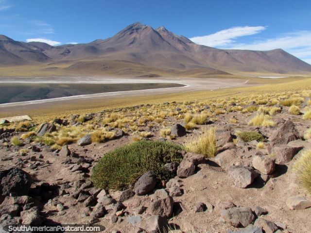 Montanhas e terreno em volta de Lagoa Miscanti em San Pedro de Atacama. (640x480px). Chile, América do Sul.