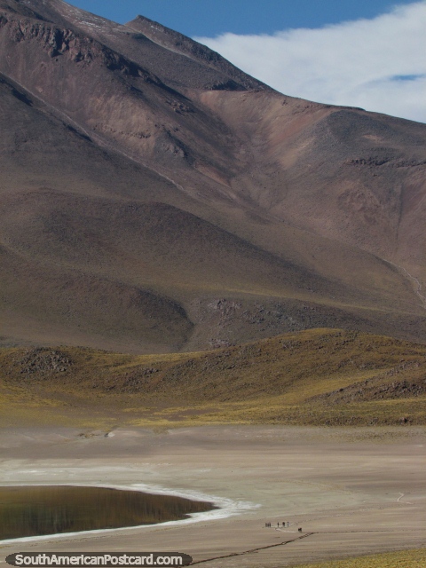 Um grupo de pessoas parece a formigas em comparao com a montanha na Lagoa Miscanti, San Pedro de Atacama. (480x640px). Chile, Amrica do Sul.