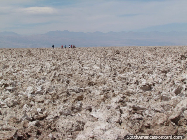 Um passeio de grupo o caminho por um sal coberto de crosta emerge na Lagoa Chaxa, San Pedro de Atacama. (640x480px). Chile, Amrica do Sul.