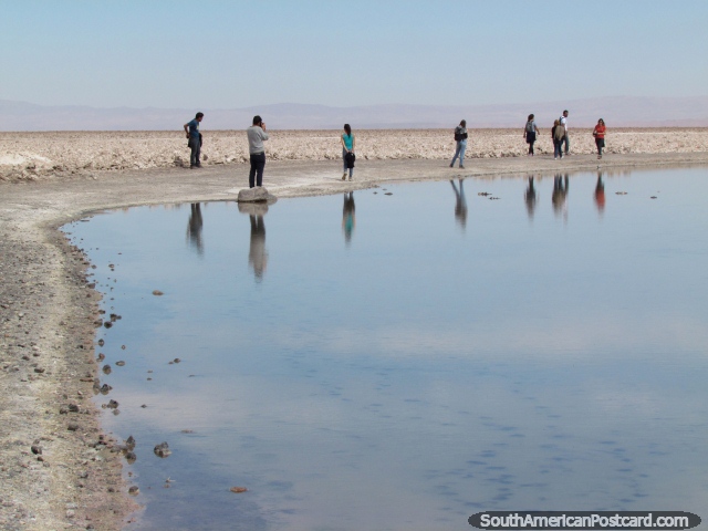 Crusty slat around the Chaxa Lagoon at San Pedro de Atacama. (640x480px). Chile, South America.