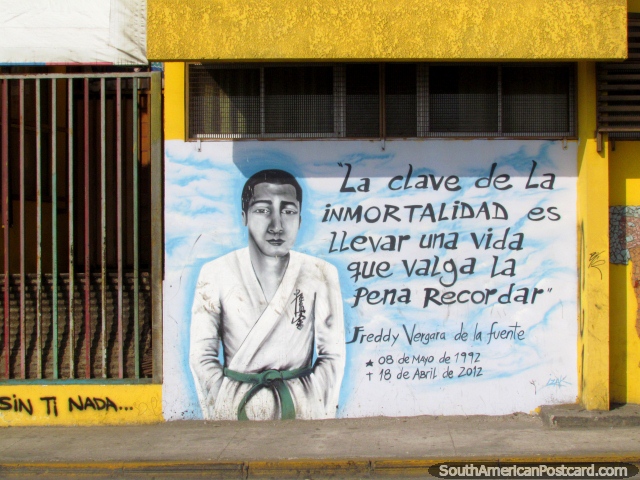 Mural of Freddy Vergara (1992-2012) in Antofagasta. (640x480px). Chile, South America.
