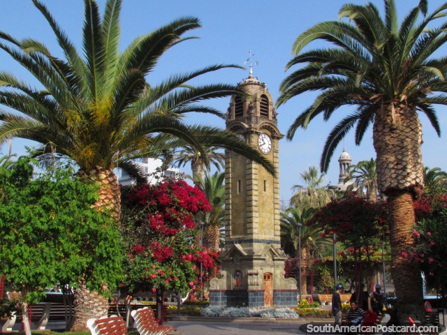 Praa Colon com a torre de relgio de Torre Reloq e palmeiras em Antofagasta. (640x480px). Chile, Amrica do Sul.