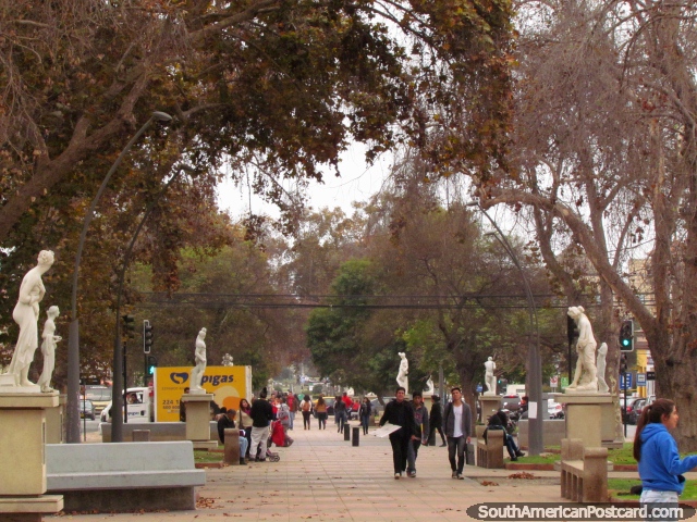 El parque agradable en medio de Avenida Francisco de Aguirre en La Serena. (640x480px). Chile, Sudamerica.