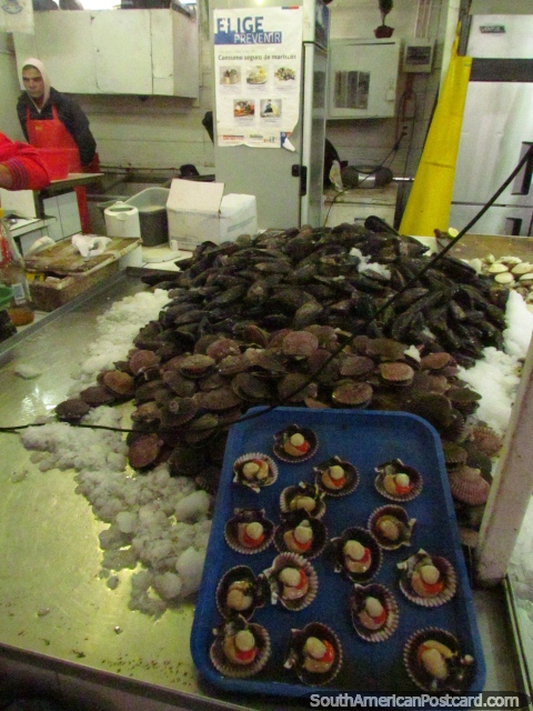 Fresh oysters at Coquimbo's fish markets, a city famous for fish! (480x640px). Chile, South America.
