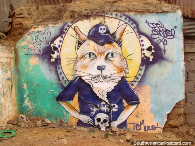 A cat with skull shirt and hat wall graffiti on a rough wall in Coquimbo. (640x480px). Chile, South America.