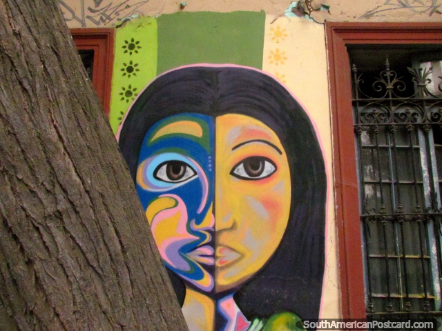 Nia con mitad de la cara coloreada, pintura mural en la pared detrs de un rbol en Barrio Brasil, Santiago. (640x480px). Chile, Sudamerica.