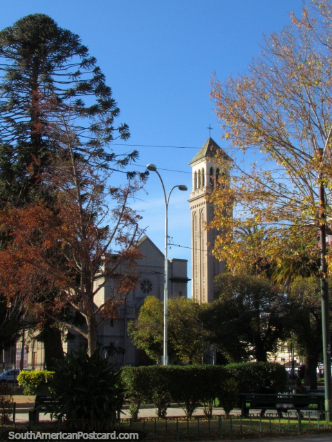 Park, church and tall trees in Valparaiso. (480x640px). Chile, South America.