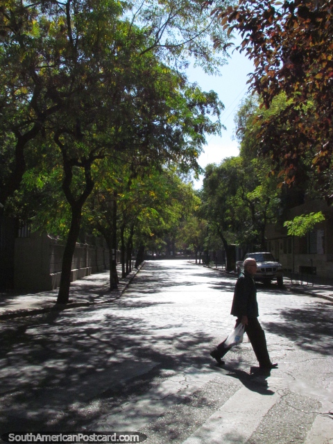 A vizinhana Lastarria em Santiago, ruas frondosas verdes bonitas. (480x640px). Chile, Amrica do Sul.