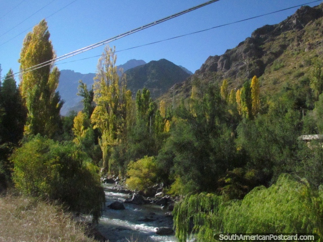 Ã�rvores verdes / amarelas junto do rio e caminho entre Los Andes e Portillo. (640x480px). Chile, América do Sul.