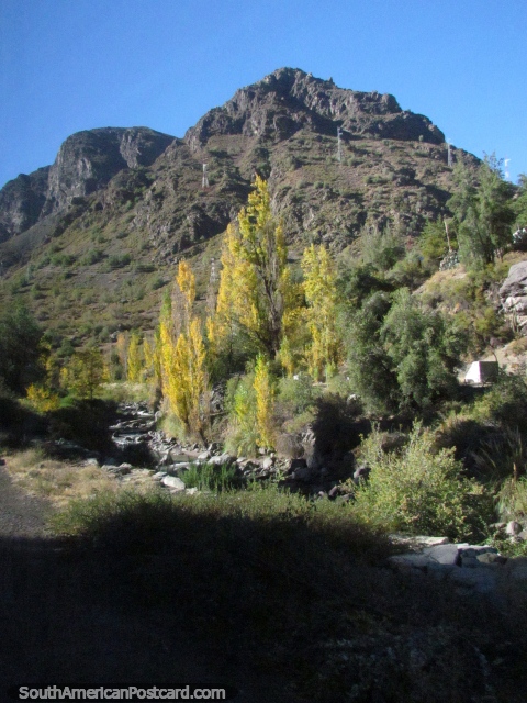 Montanhas atrás de uma árvore amarela e o rio justo antes de Guardia Vieja. (480x640px). Chile, América do Sul.