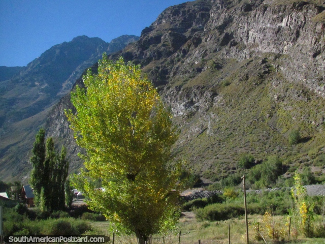 As árvores amarelas e verdes clareiam uma paisagem de montanhas cinzas em volta de Guardia Vieja. (640x480px). Chile, América do Sul.