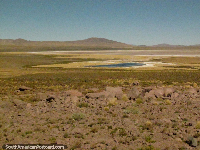 Salty plains and a small lagoon between Paso de Jama and San Pedro. (640x480px). Chile, South America.