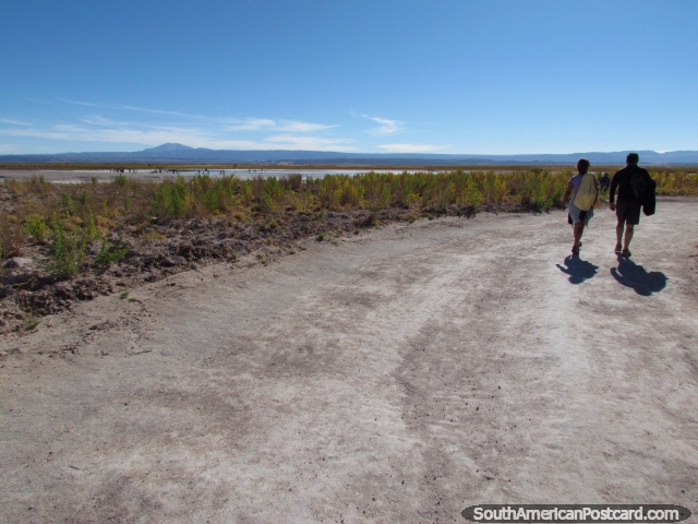 El camino que lleva a Laguna de Cejar en la distancia en San Pedro de Atacama. (640x480px). Chile, Sudamerica.
