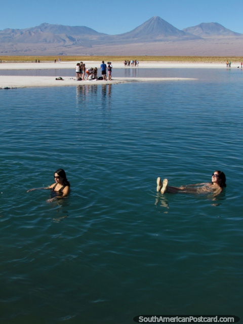 Que grande dia para nadar em Lagoa Cejar em San Pedro de Atacama. (480x640px). Chile, Amrica do Sul.