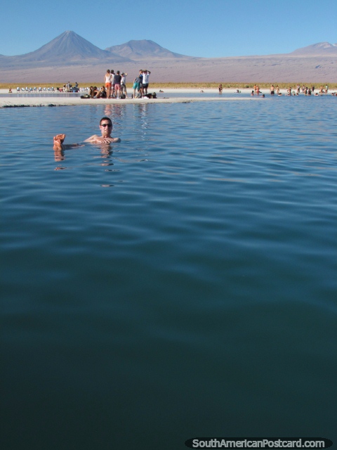 Man floats on water like the Dead Sea but at Cejar Lagoon, San Pedro de Atacama. (480x640px). Chile, South America.