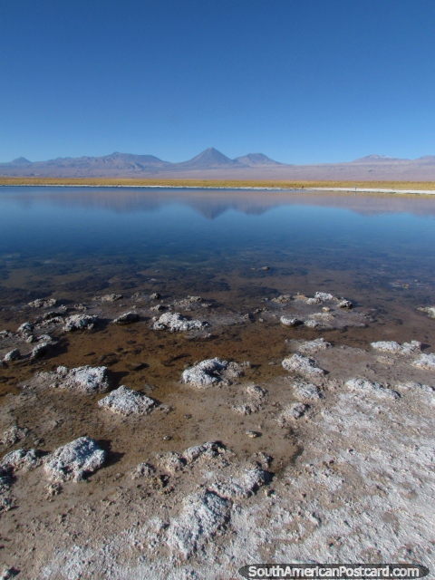 A borda salgada coberta de crosta de Lagoa Cejar e montanhas distantes em San Pedro de Atacama. (480x640px). Chile, Amrica do Sul.