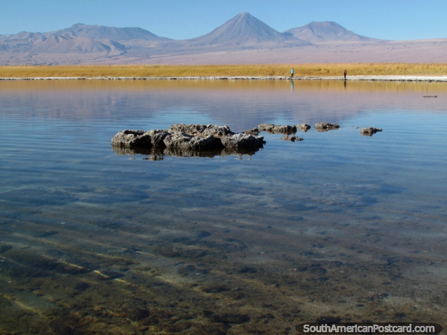 Uma ilha rochosa no meio de Lagoa Cejar, San Pedro de Atacama. (640x480px). Chile, Amrica do Sul.