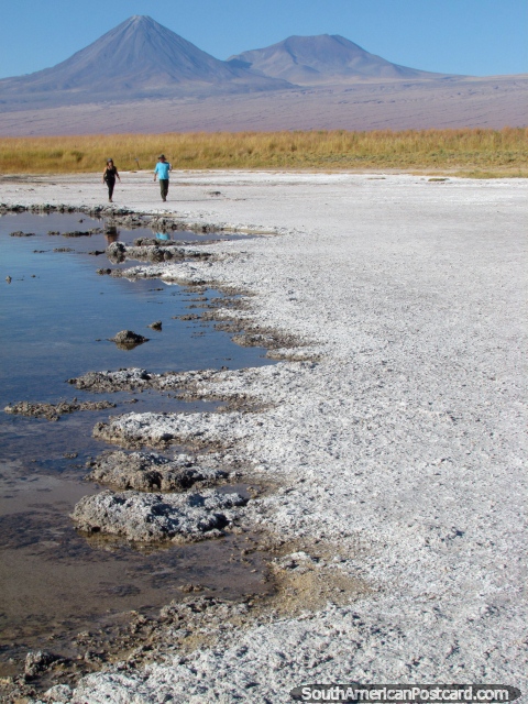 Mastigao ruidosa, triture abaixo dos seus ps, o som de sal coberto de crosta seco na Lagoa Cejar, San Pedro de Atacama. (480x640px). Chile, Amrica do Sul.