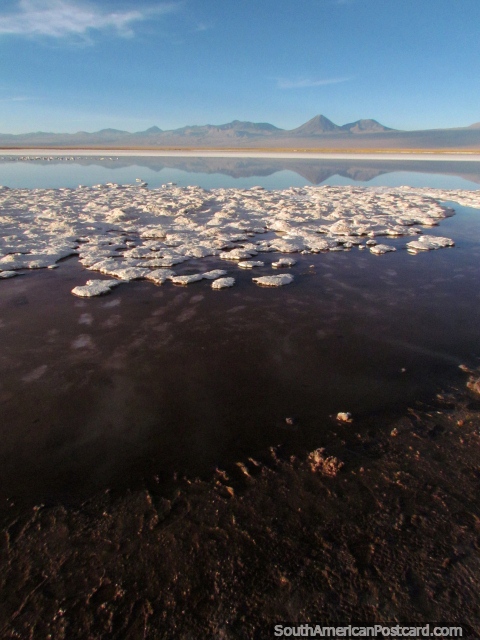 La ltima laguna del da para mirar la puesta del sol y comer bocados y beber, San Pedro de Atacama. (480x640px). Chile, Sudamerica.