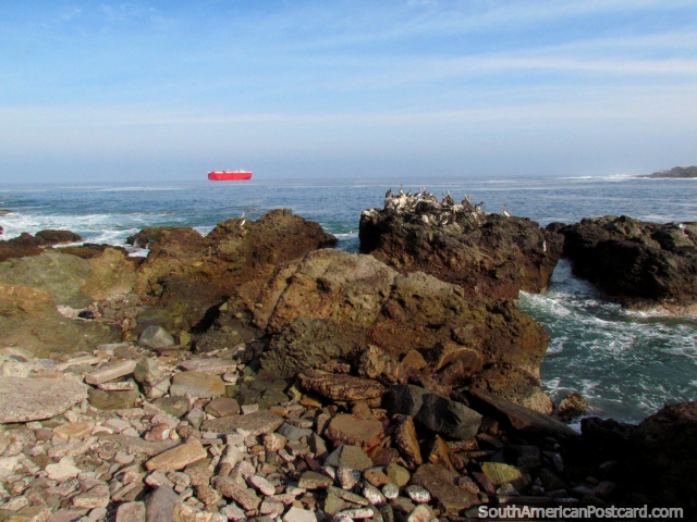Red ship off the coast in Iquique with pelicans on rocks in the foreground. (640x480px). Chile, South America.