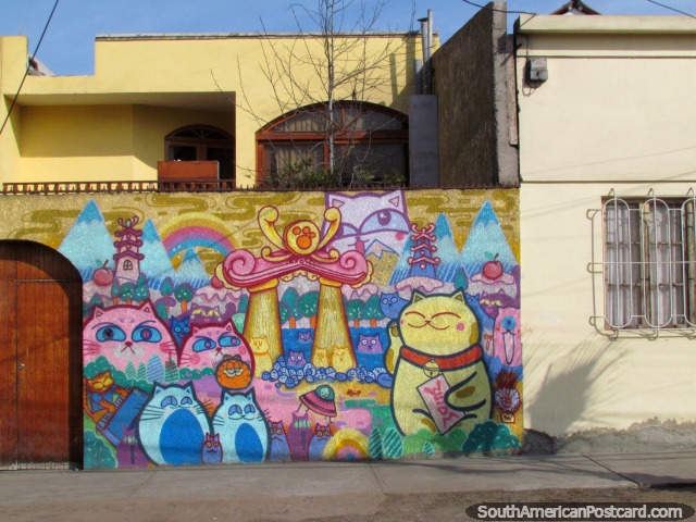 Pintura mural de la pared de muchos gatos delante de una casa en Iquique, muy vistoso. (640x480px). Chile, Sudamerica.
