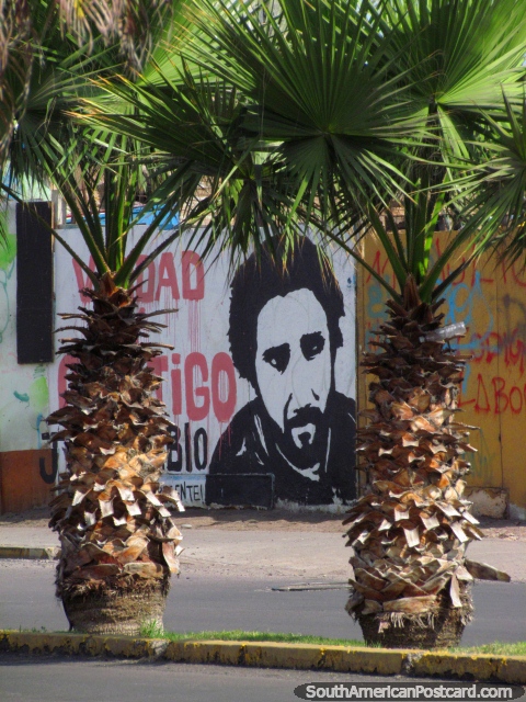A bearded man wall art, view between 2 palms in Iquique. (480x640px). Chile, South America.