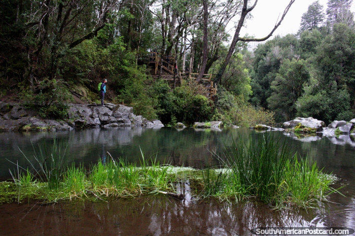 Ojos do Caburgua, pequenas lagoas em uma rea florestal com cachoeiras perto de Pucon. (720x480px). Chile, Amrica do Sul.
