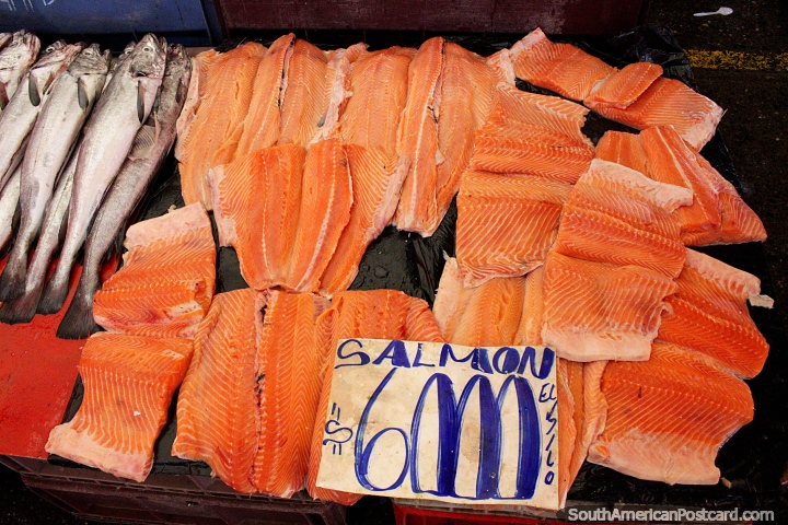 Fresh salmon at $6000 pesos per kilo ($9USD) at Feria Fluvial in Valdivia. (720x480px). Chile, South America.