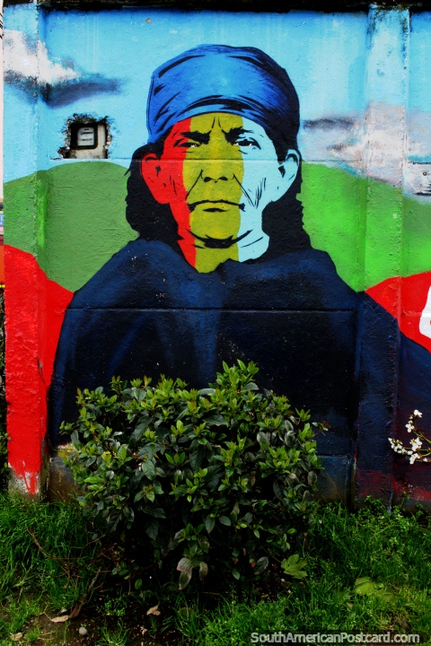 Machi Francisca Linconao, an important spiritual leader of the Mapuche people, street art in Valdivia. (480x720px). Chile, South America.