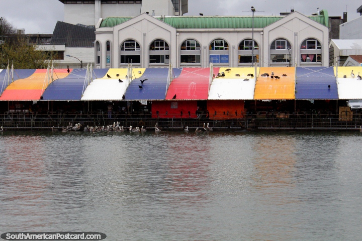 A Feira famosa mercado de peixes Fluvial como visto de um barco viaja no Rio de Calle-Calle em Valdivia. (720x480px). Chile, América do Sul.