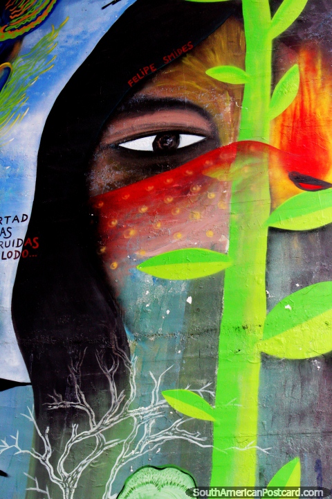La cara del pueblo Mapuche, mural en Valdivia. (480x720px). Chile, Sudamerica.