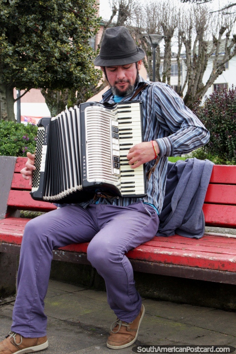 O homem com um chapéu toca um acordeão na praça pública em Porto Montt. (480x720px). Chile, América do Sul.