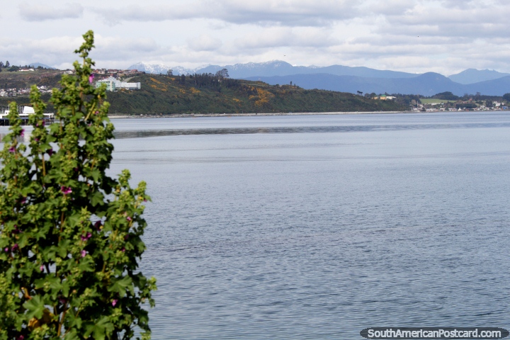 Looking across the waters of the bay to distant snow-capped mountains in Puerto Montt. (720x480px). Chile, South America.